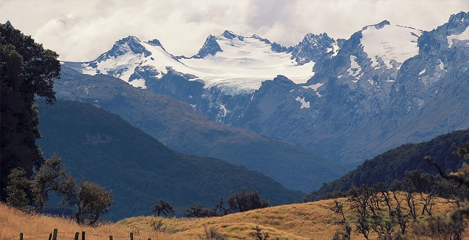 Disc Golf New Zealand