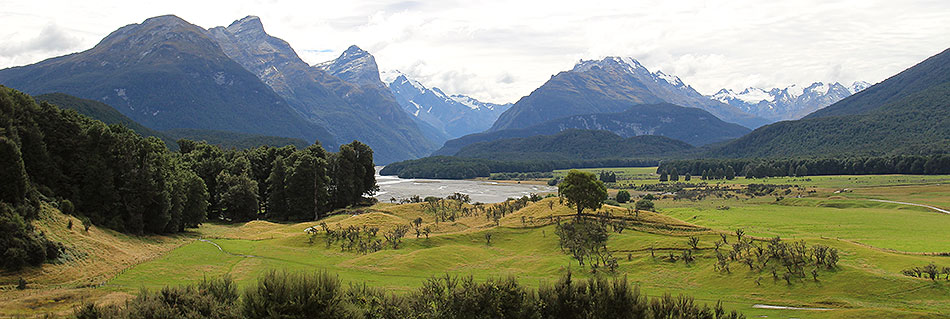 Disc Golf New Zealand