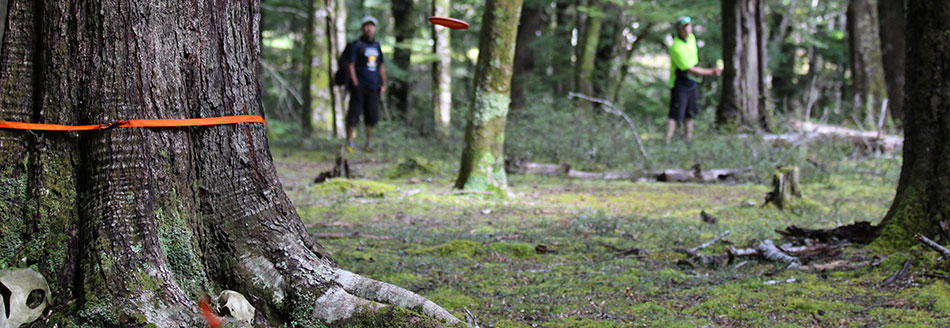 Disc Golf New Zealand