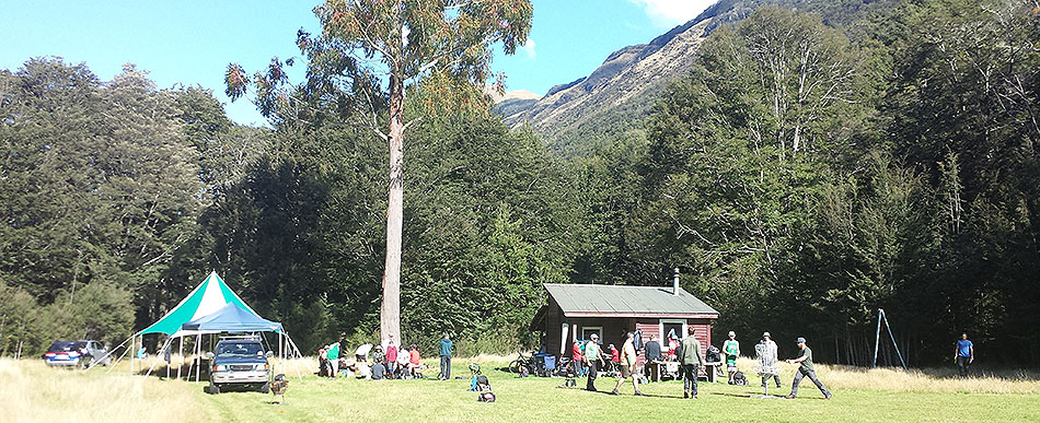 Disc Golf New Zealand