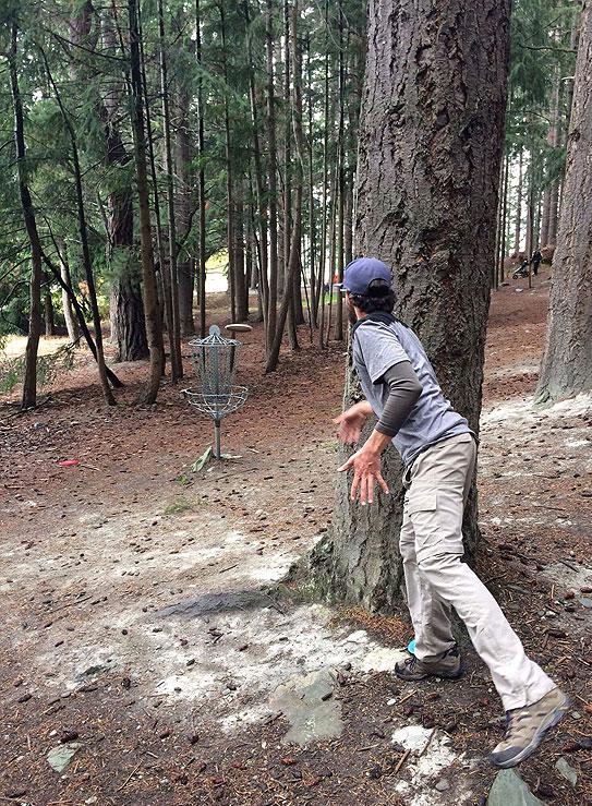 Disc Golf New Zealand