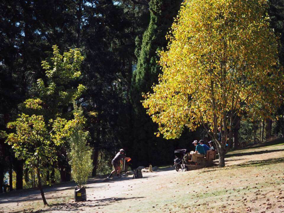 Disc Golf New Zealand