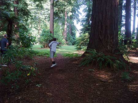 Disc Golf New Zealand