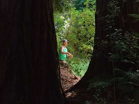 Disc Golf New Zealand