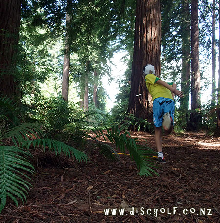 Disc Golf New Zealand