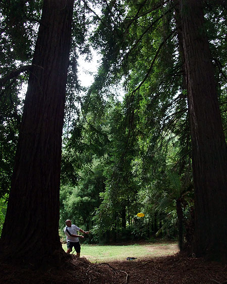 Disc Golf New Zealand