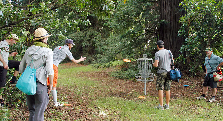 Disc Golf New Zealand