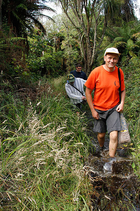 Disc Golf New Zealand