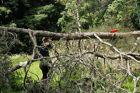 Disc Golf New Zealand