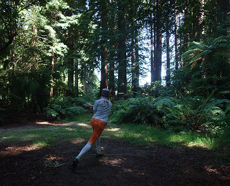 Disc Golf New Zealand