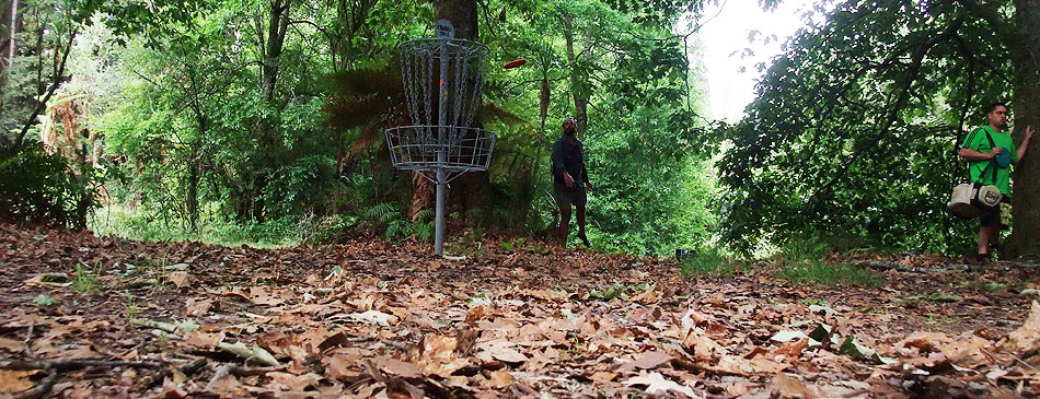 Disc Golf New Zealand