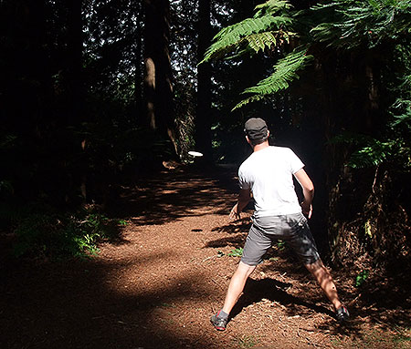 Disc Golf New Zealand