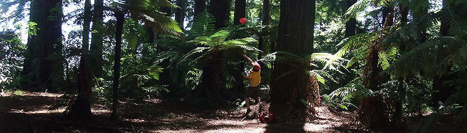 Disc Golf New Zealand