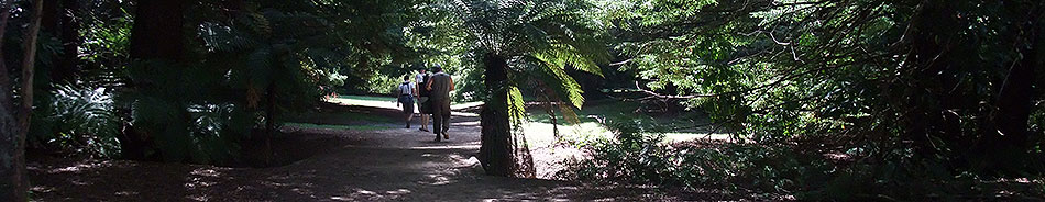 Disc Golf New Zealand