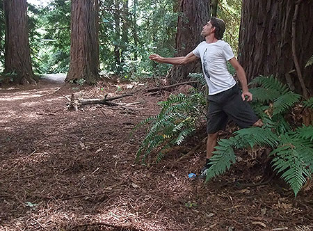 Disc Golf New Zealand