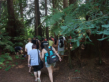 Disc Golf New Zealand