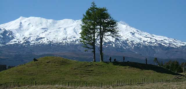 Disc Golf New Zealand