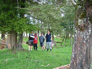 Disc Golf New Zealand