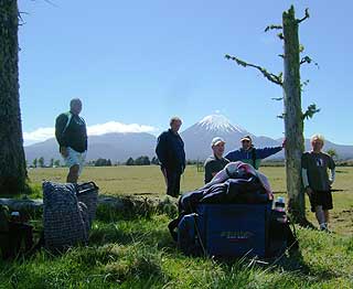 Disc Golf New Zealand