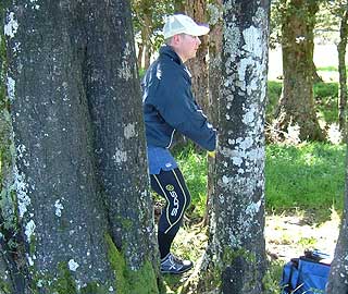 Disc Golf New Zealand