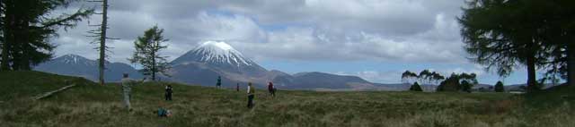 Disc Golf New Zealand