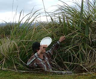 Disc Golf New Zealand