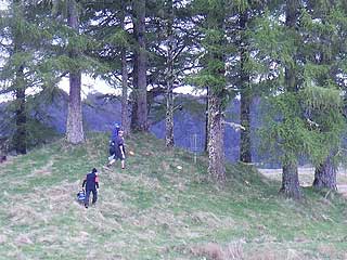 Disc Golf New Zealand