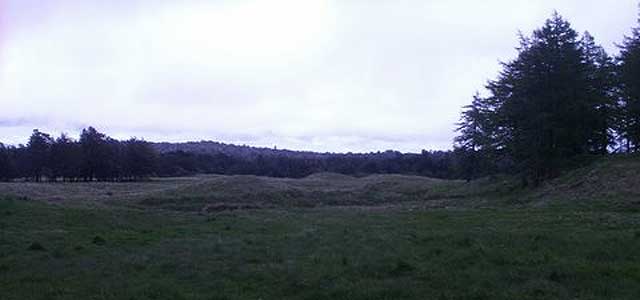 Disc Golf New Zealand Disc Golf New Zealand