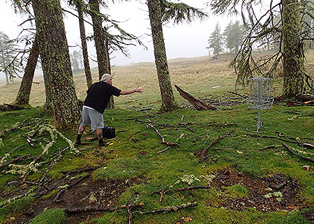 Disc Golf New Zealand