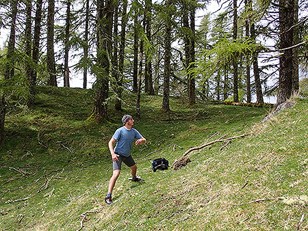 Disc Golf New Zealand