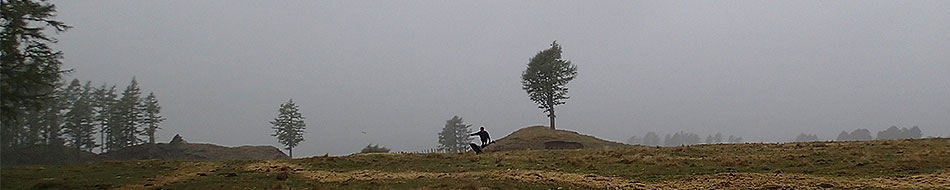 Disc Golf New Zealand