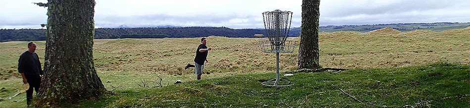 Disc Golf New Zealand