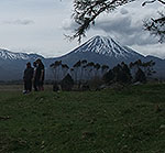 Disc Golf New Zealand