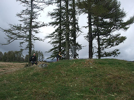 Disc Golf New Zealand