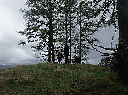 Disc Golf New Zealand