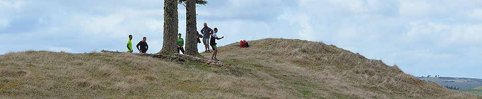 Disc Golf New Zealand