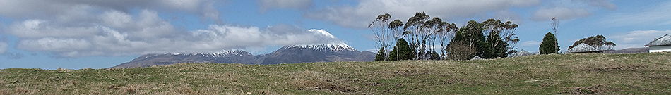 Disc Golf New Zealand