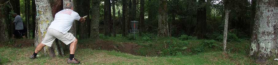 Disc Golf New Zealand