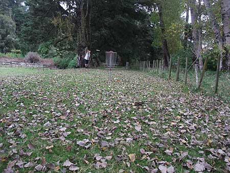 Disc Golf New Zealand