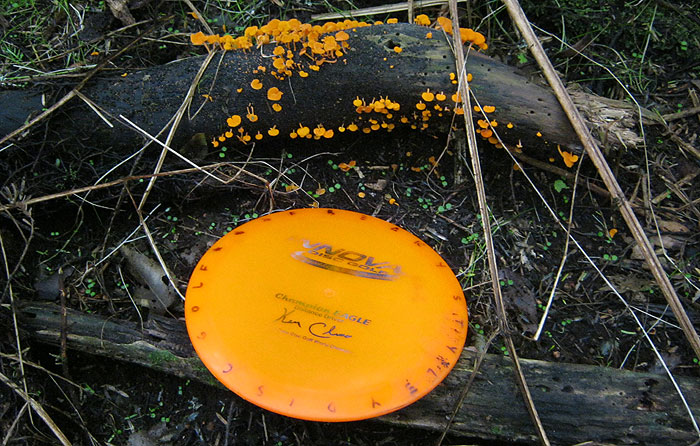 Disc Golf New Zealand