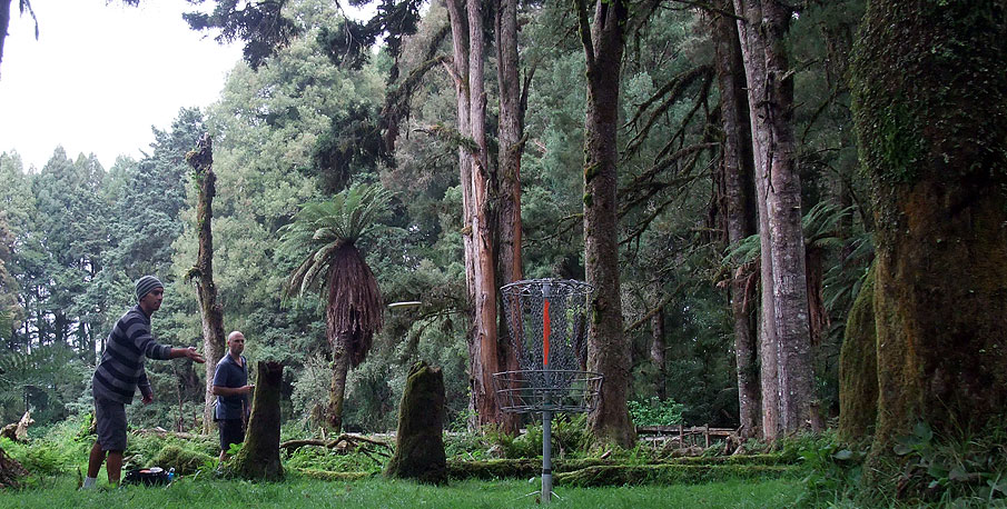 Disc Golf New Zealand