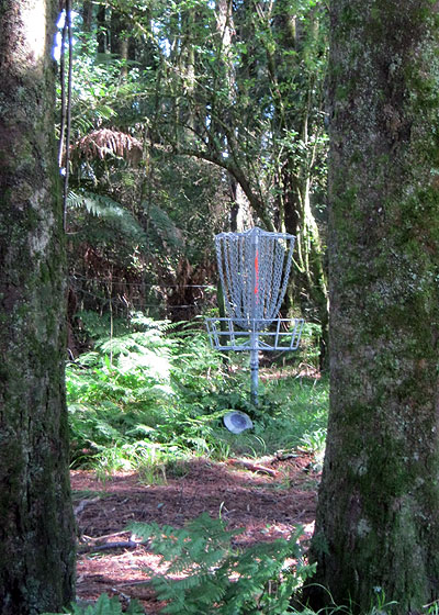 Disc Golf New Zealand