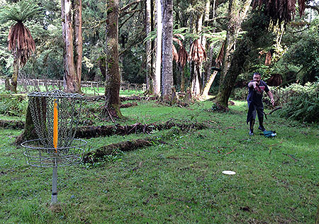 Disc Golf New Zealand