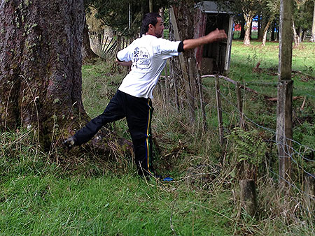 Disc Golf New Zealand