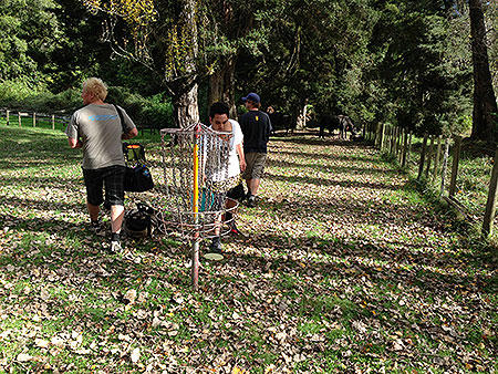 Disc Golf New Zealand