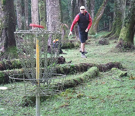 Disc Golf New Zealand