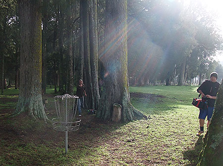 Disc Golf New Zealand