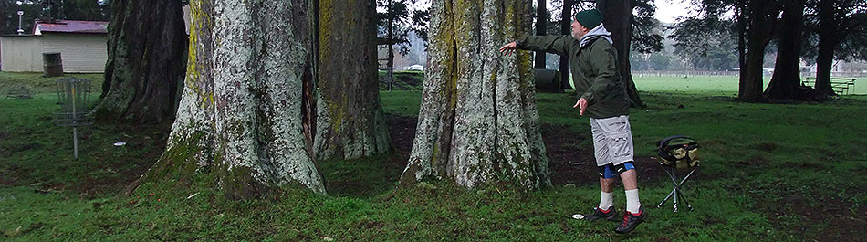 Disc Golf New Zealand