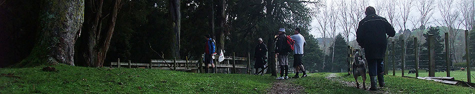 Disc Golf New Zealand