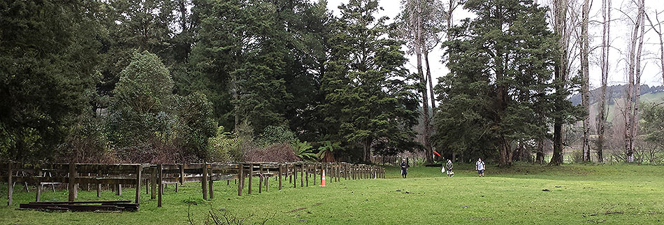 Disc Golf New Zealand